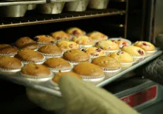 Common Faults and Solutions for Deck Ovens